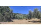 Non-developable land for sale in Cantallops ref: TR225123 photo