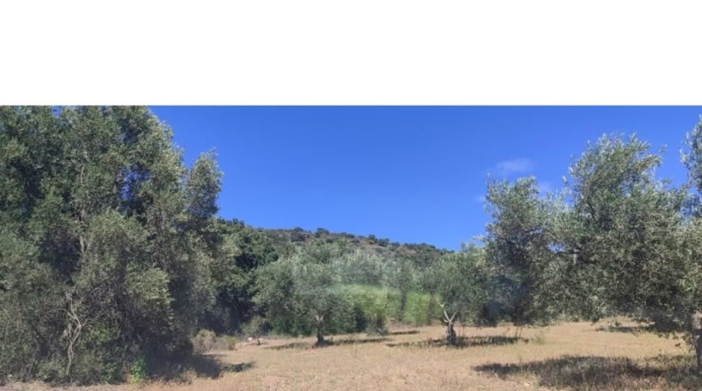 Girona - Cantallops - 22568m2