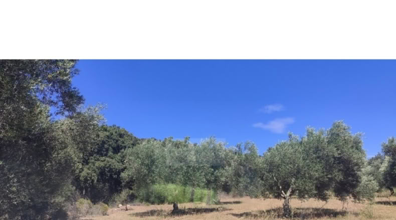 Girona - Cantallops - 22568m2