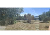 Non-developable land for sale in Cantallops ref: TR225123 photo