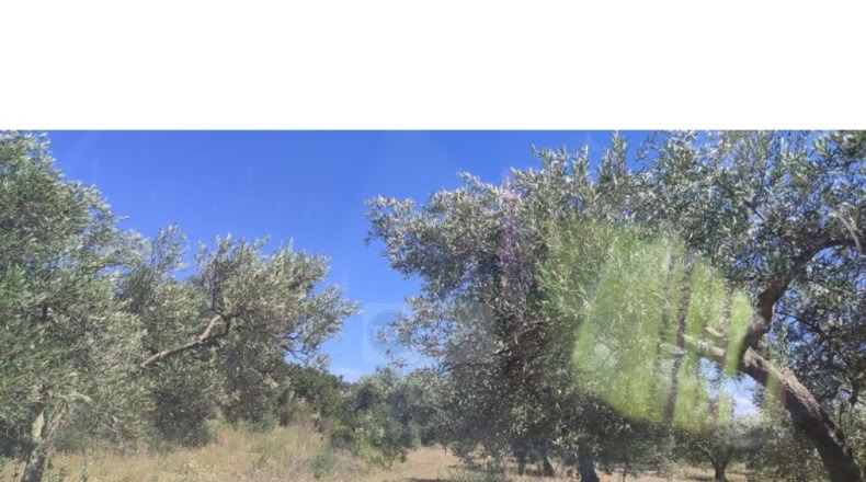 Girona - Cantallops - 22568m2