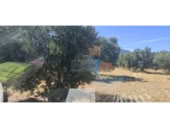 Non-developable land for sale in Cantallops ref: TR225122 photo