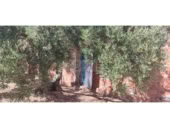 Non-developable land for sale in Cantallops ref: TR225122 photo