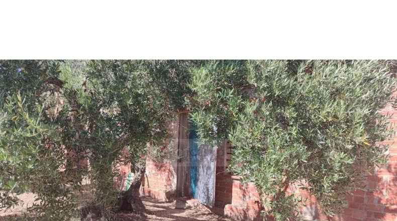 Girona - Cantallops - 6793m2