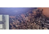 Non-developable land for sale in Cantallops ref: TR225122 photo