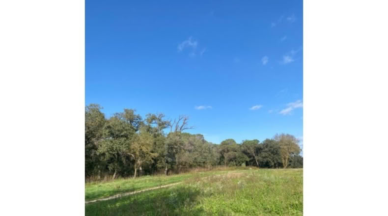 Girona - Caldes de Malavella - 12000m2