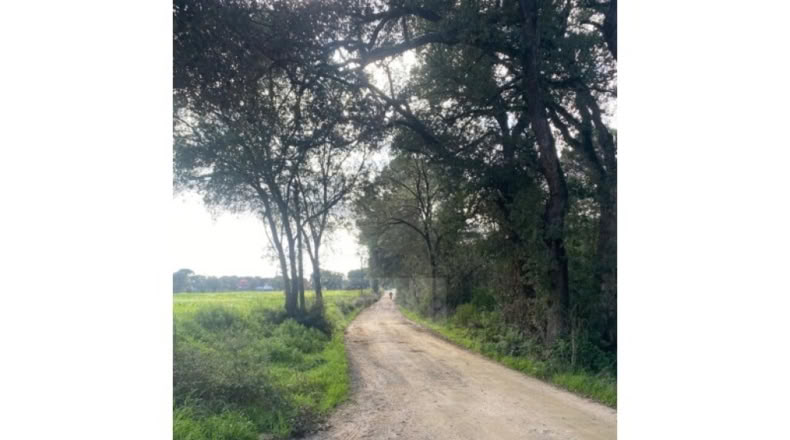Girona - Caldes de Malavella - 12000m2