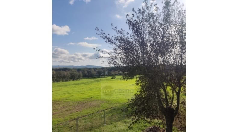 Girona - Caldes de Malavella - 12000m2