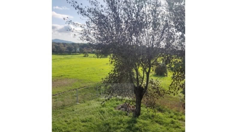 Girona - Caldes de Malavella - 12000m2