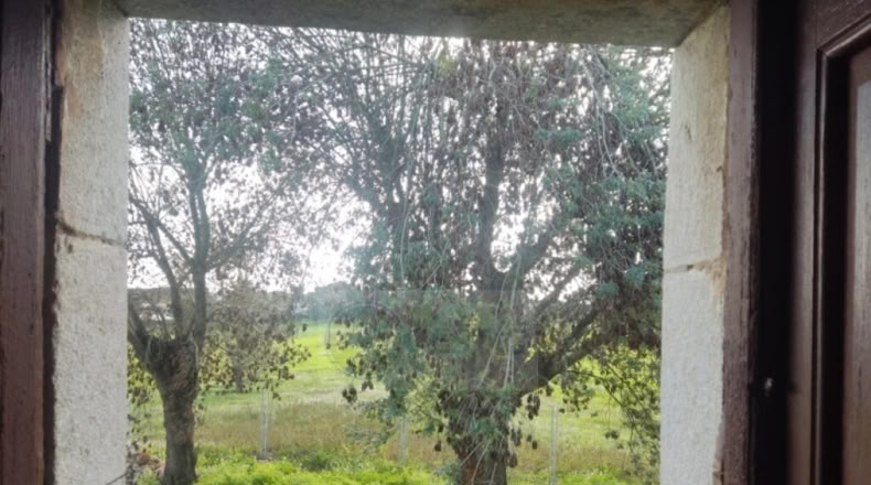 Girona - Caldes de Malavella - 12000m2