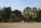 Masia with land for sale on CORTIJO CAMPO FELIZ, Boca de los Frailes, ref: TR200826 photo