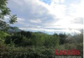 Non-developable land for sale on Carretera 238, Reocín, ref: TR183242 photo