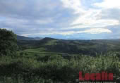 Non-developable land for sale on Carretera 238, Reocín, ref: TR183242 photo