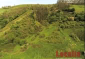 Non-developable land for sale on Carretera 238, Reocín, ref: TR183242 photo