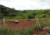 Non-developable land for sale on Carretera 238, Reocín, ref: TR183242 photo