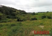 Non-developable land for sale on Carretera 238, Reocín, ref: TR183242 photo