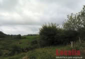 Non-developable land for sale on Carretera 238, Reocín, ref: TR183242 photo