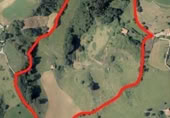 Non-developable land for sale on Carretera 238, Reocín, ref: TR183242 photo