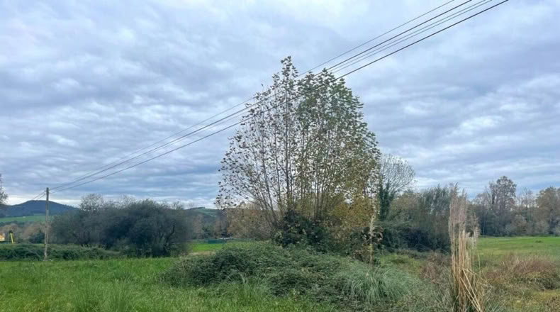 Cantàbria - Carandía - 1372m2