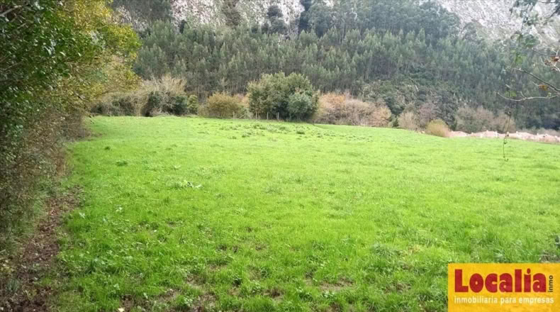 Cantabria - Otañes - 1745m2