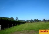 Parcel·la urbanitzable en venda a la Oviñana, Pravia, ref.: TR225562 foto
