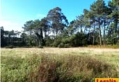 Parcel·la urbanitzable en venda a la Oviñana, Pravia, ref.: TR225562 foto