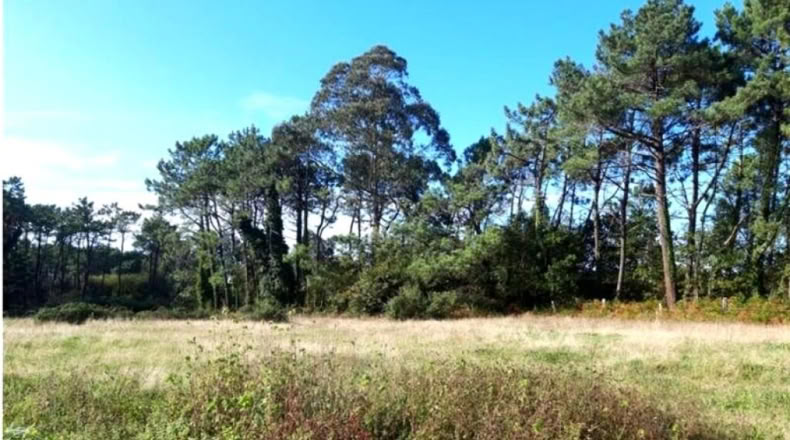 Asturias - Llanorrozo - 3074m2