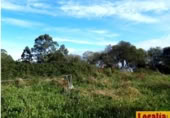 Parcel·la urbanitzable en venda a la Oviñana, Pravia, ref.: TR225562 foto