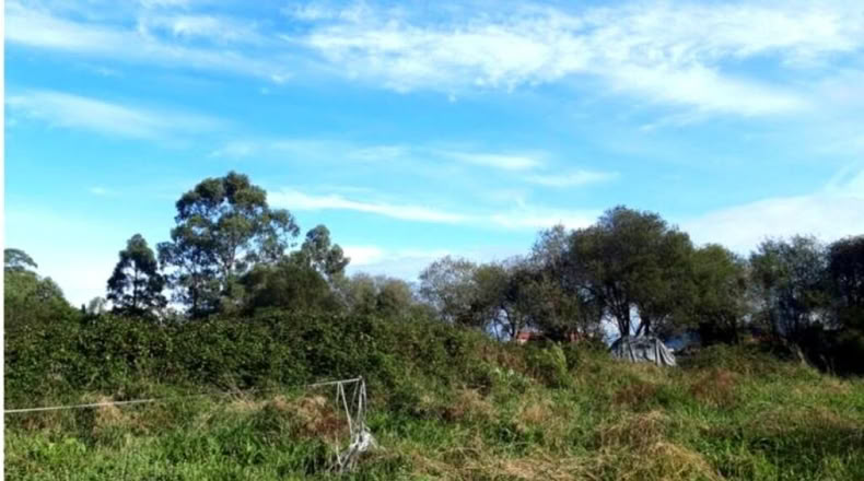 Asturias - Llanorrozo - 3074m2
