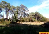 Parcel·la urbanitzable en venda a la Oviñana, Pravia, ref.: TR225562 foto