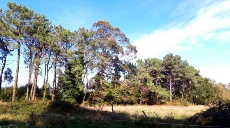 Asturias - Llanorrozo - 3074m2