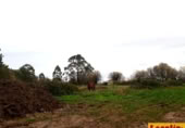 Parcel·la urbanitzable en venda a la Oviñana, Pravia, ref.: TR225562 foto