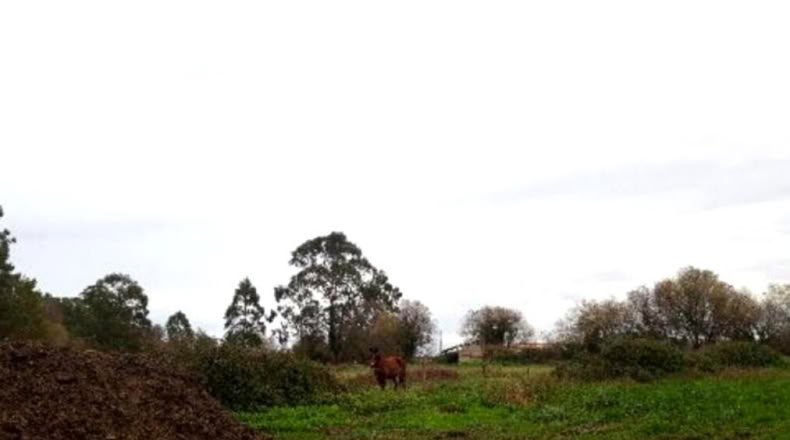 Asturias - Llanorrozo - 3074m2