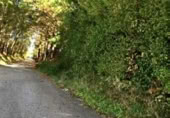 Parcel·la urbanitzable en venda a la Oviñana, Pravia, ref.: TR225562 foto