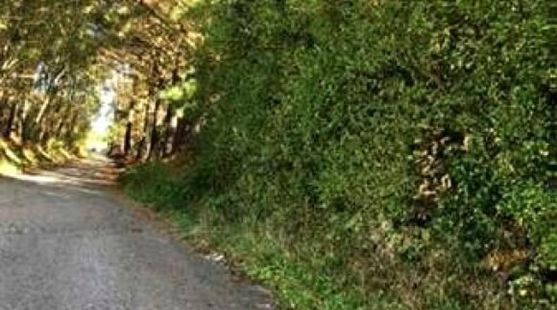 Asturias - Llanorrozo - 3074m2