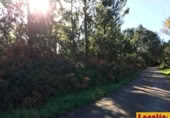 Parcel·la urbanitzable en venda a la Oviñana, Pravia, ref.: TR225562 foto