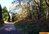 Parcel·la urbanitzable en venda a la Oviñana, Pravia, ref.: TR225562 foto