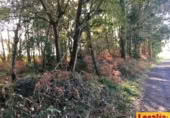 Parcel·la urbanitzable en venda a la Oviñana, Pravia, ref.: TR225562 foto