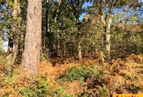 Foto 18