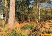 Parcel·la urbanitzable en venda a la Oviñana, Pravia, ref.: TR225562 foto