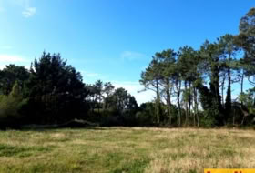Foto 19