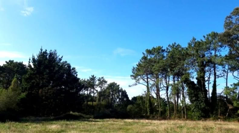 Asturias - Llanorrozo - 3074m2