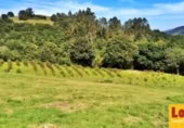 Non-developable land for sale on Barrio San Vicente de Toranzo, San Vicente de Toranzo, ref: TR258277 photo