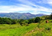 Non-developable land for sale on Barrio San Vicente de Toranzo, San Vicente de Toranzo, ref: TR258277 photo
