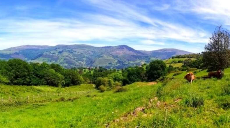 Cantabria - San Vicente de Toranzo - 48000m2