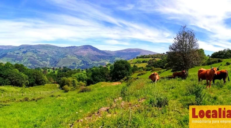 Cantabria - San Vicente de Toranzo - 48000m2