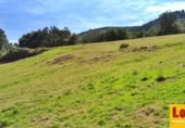 Non-developable land for sale on Barrio San Vicente de Toranzo, San Vicente de Toranzo, ref: TR258277 photo