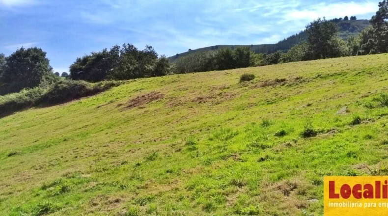 Cantabria - San Vicente de Toranzo - 48000m2