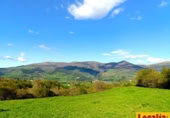 Non-developable land for sale on Barrio San Vicente de Toranzo, San Vicente de Toranzo, ref: TR258277 photo