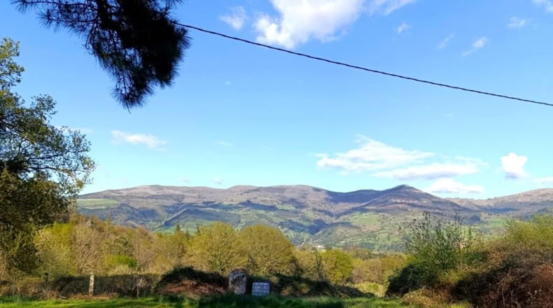 Cantabria - San Vicente de Toranzo - 48000m2
